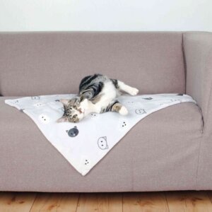 Katzen